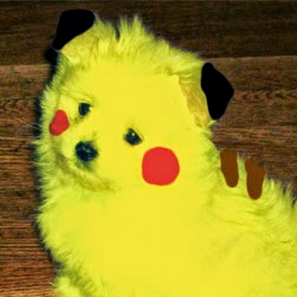 Meet your Posher, Wisly